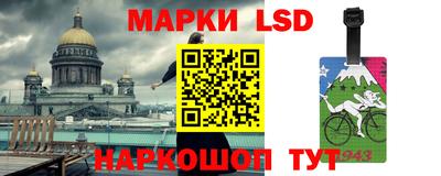 прущие грибы Сланцы
