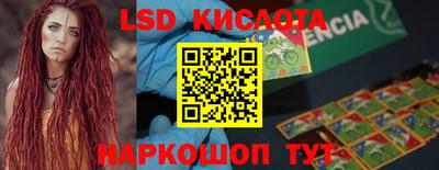 гидра Славгород