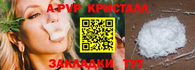 гидра Славгород