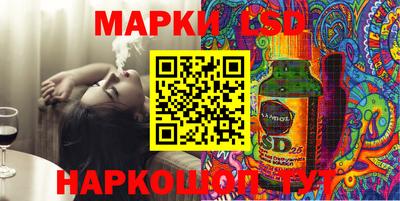 гидра Славгород