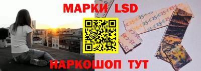 гидра Славгород