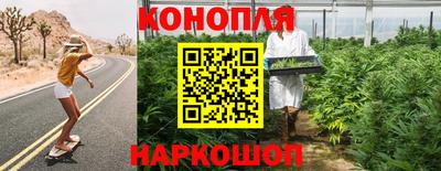 гидра Славгород