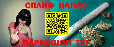 прущие грибы Сланцы